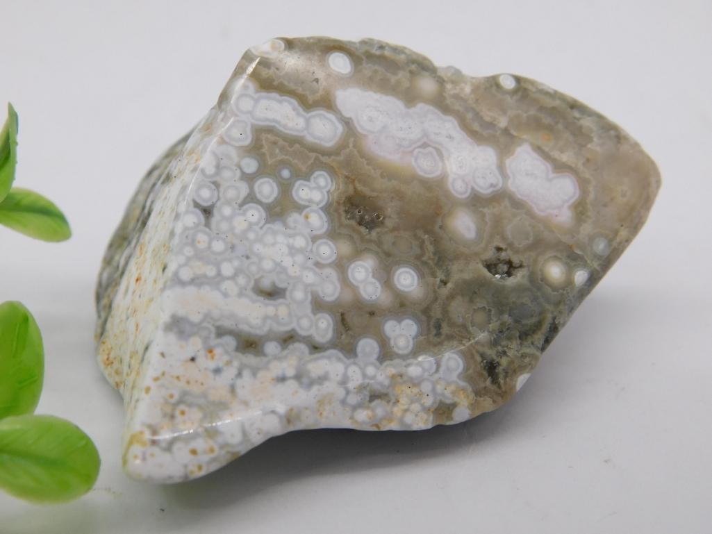 Polished Ocean Jasper Specimen: Polished Ocean Jasper Specimen