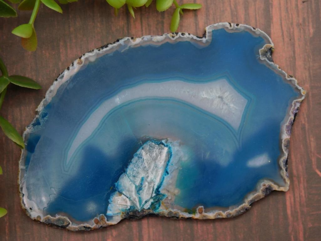 Blue Agate Slice ROCK STONE LAPIDARY SPECIMEN: Blue Agate Slice ROCK STONE LAPIDARY SPECIMEN