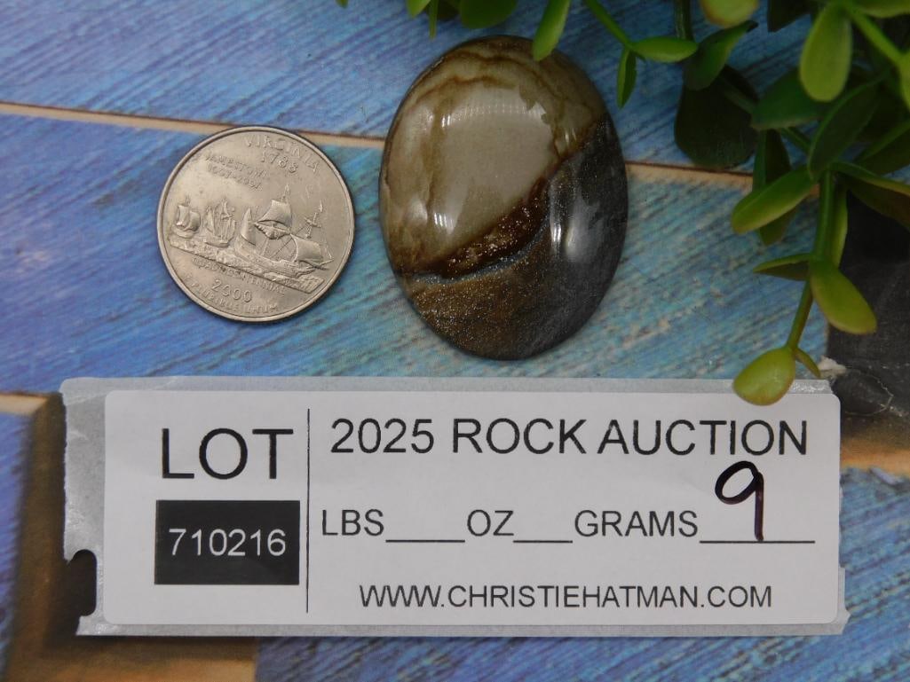 Jasper Cabochon ROCK STONE LAPIDARY SPECIMEN - 2