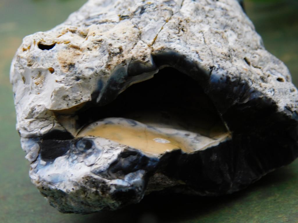 Dendritic Opalite ROCK STONE LAPIDARY SPECIMEN - 2