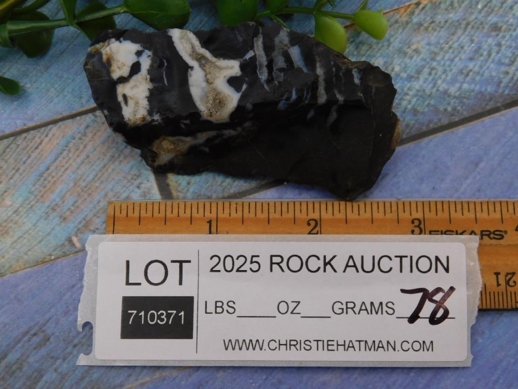 Zebra Rock Black and White Patterned Rock Specimen ROCK STONE LAPIDARY SPECIMEN (1 of 1)
