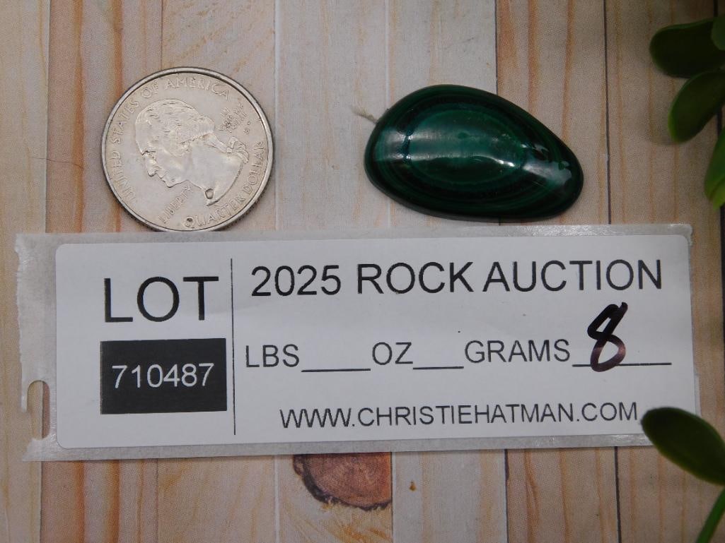Malachite Cabochon Rock Stone Lapidary Specimen - 2