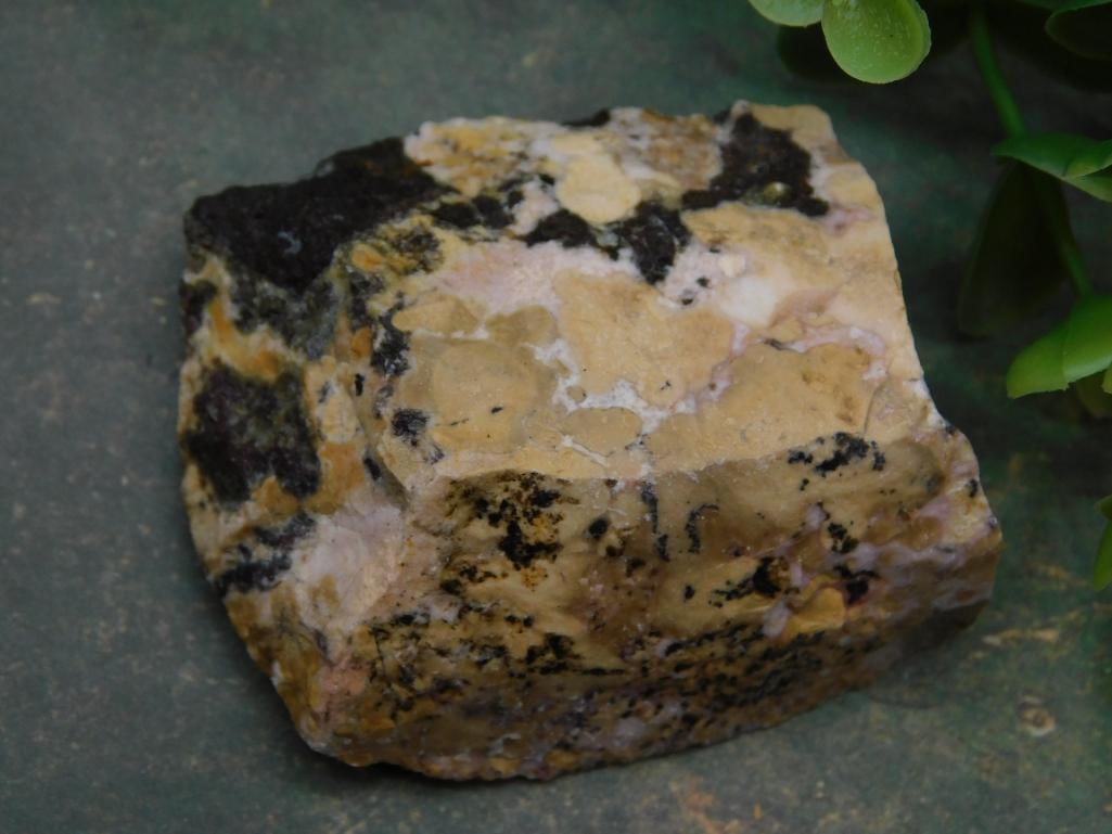 Rock Stone Lapidary Specimen: Rock Stone Lapidary Specimen