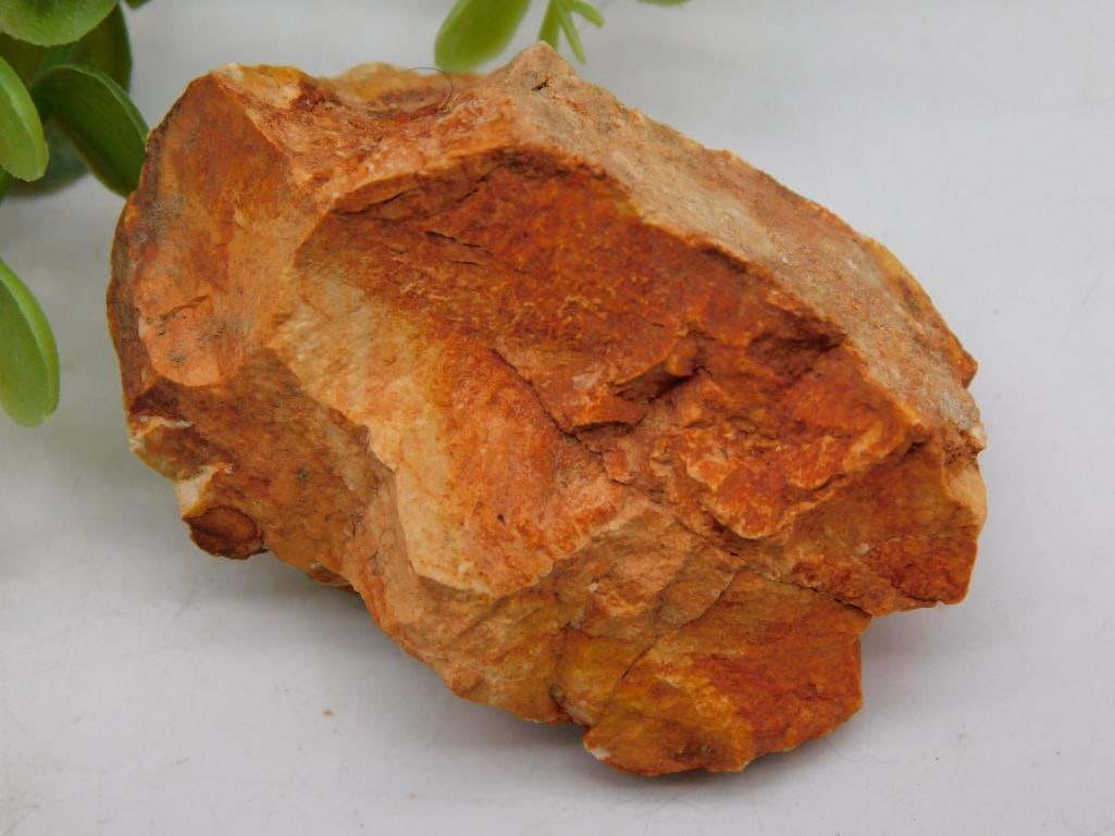 Rock Stone Lapidary Specimen: Rock Stone Lapidary Specimen