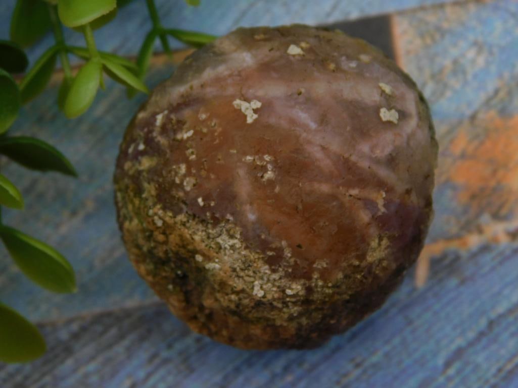 Agate Rock Stone Lapidary Specimen: Agate Rock Stone Lapidary Specimen