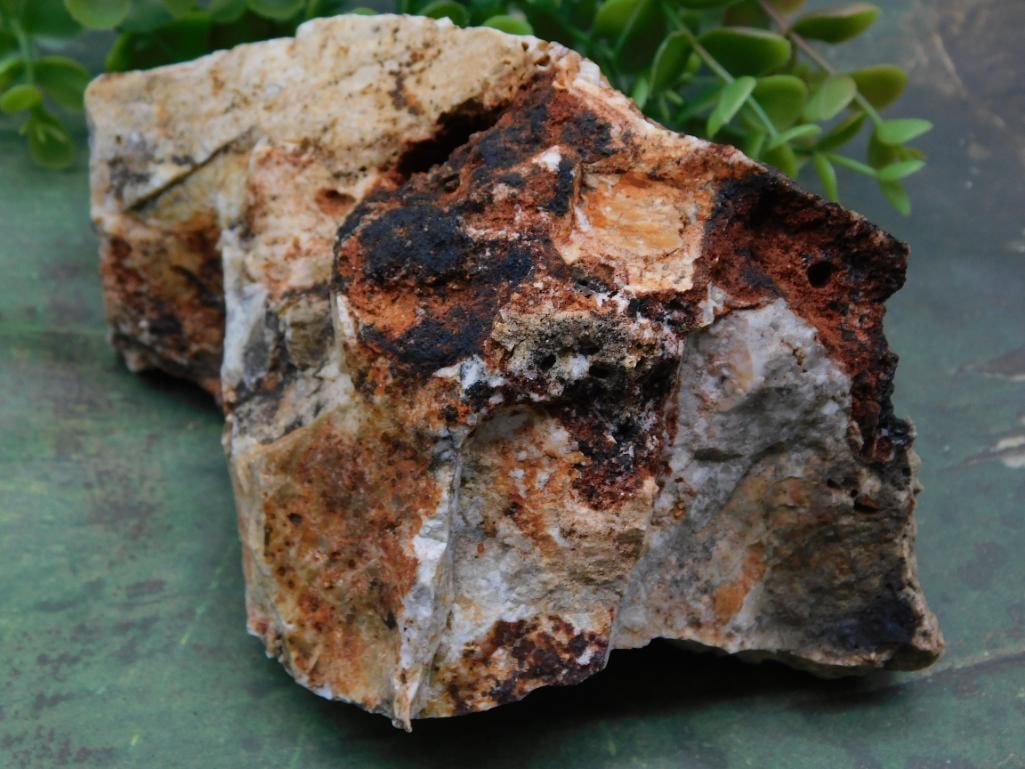 Rock Stone Lapidary Specimen: Rock Stone Lapidary Specimen