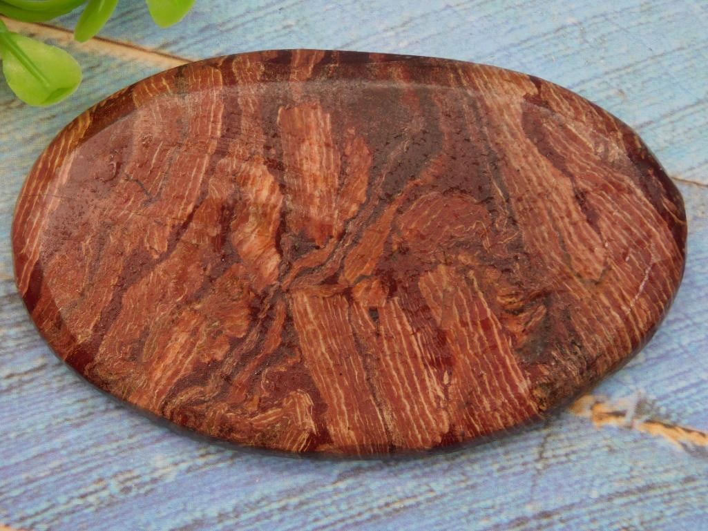 Rock Stone Lapidary Specimen: Rock Stone Lapidary Specimen