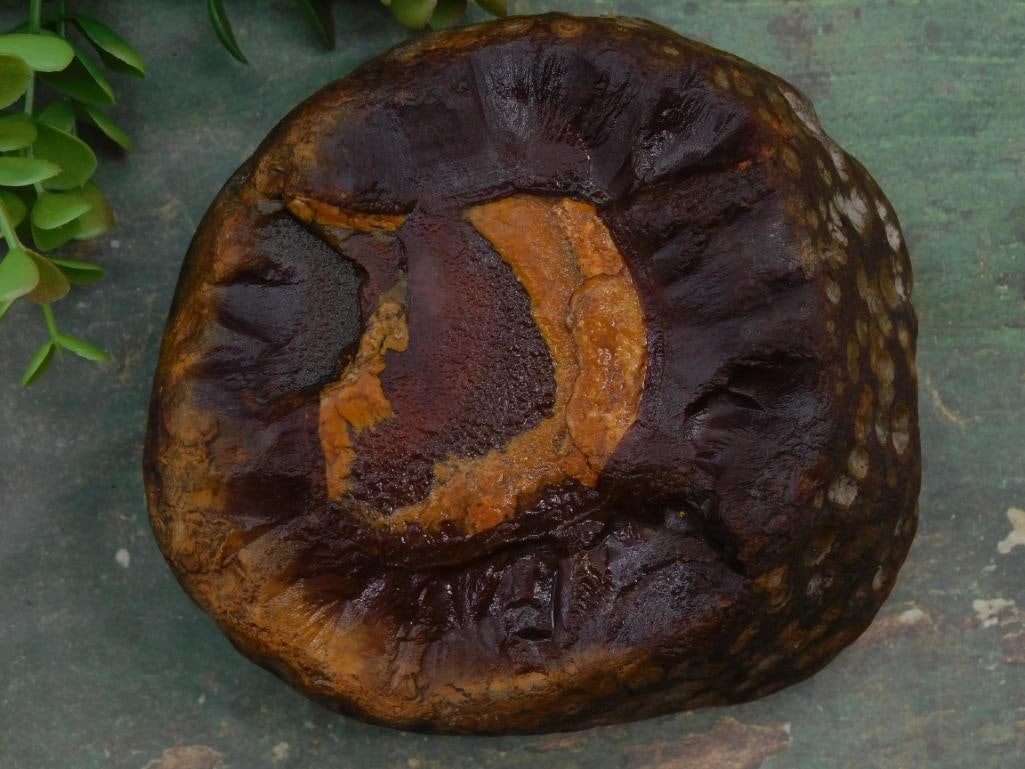Brazilian Agate Rock Stone Lapidary Specimen: Brazilian Agate Rock Stone Lapidary Specimen