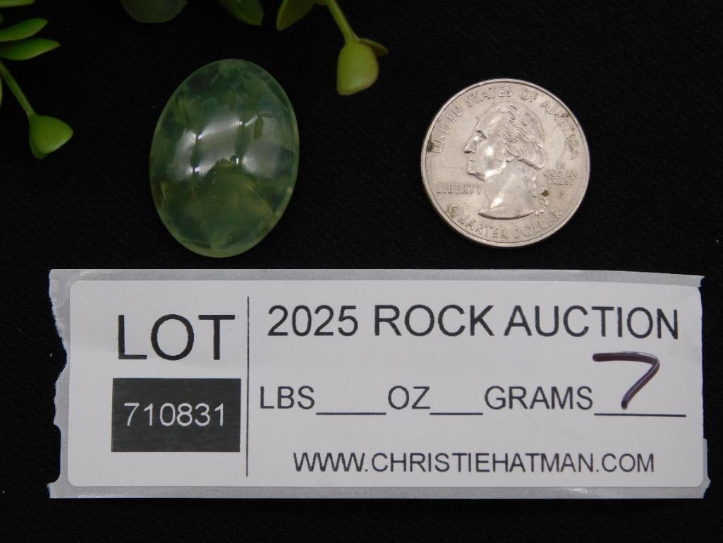 Worry Stone Rock Stone Lapidary Specimen - 3