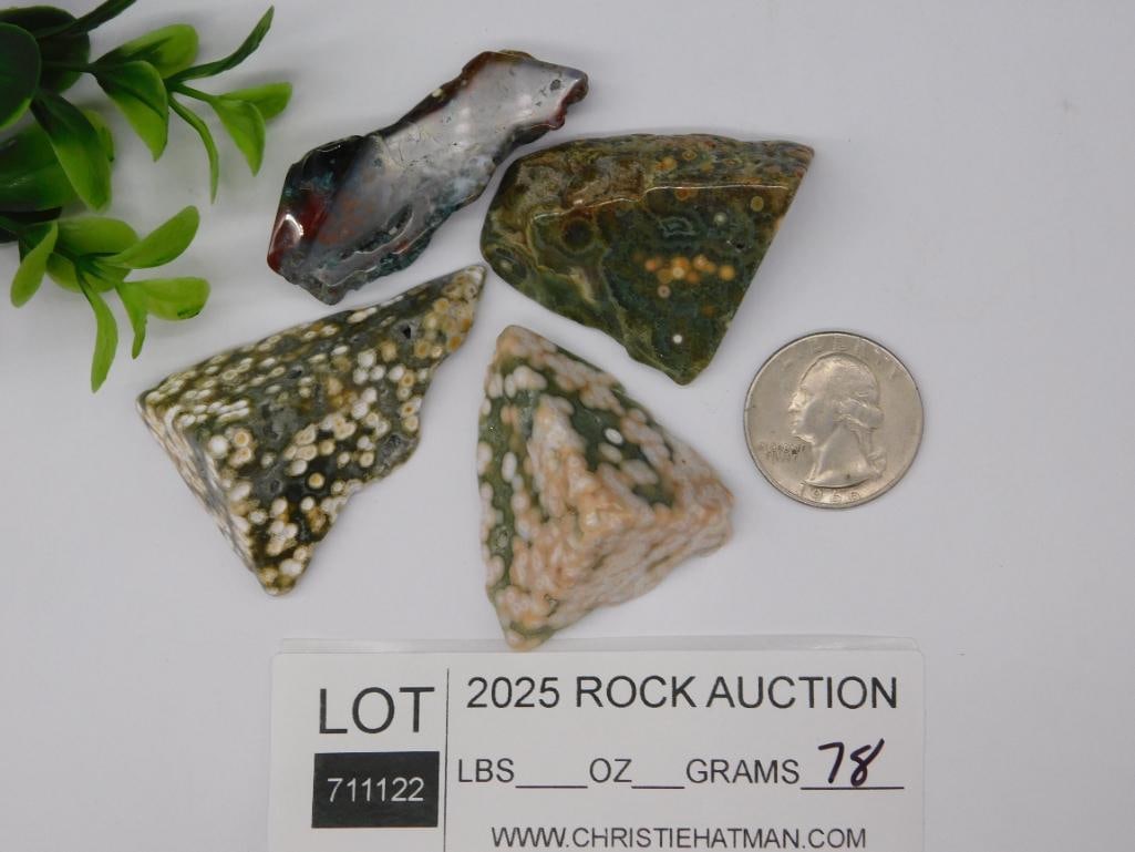 Ocean Jasper Rock Stone Lapidary Specimens - 2
