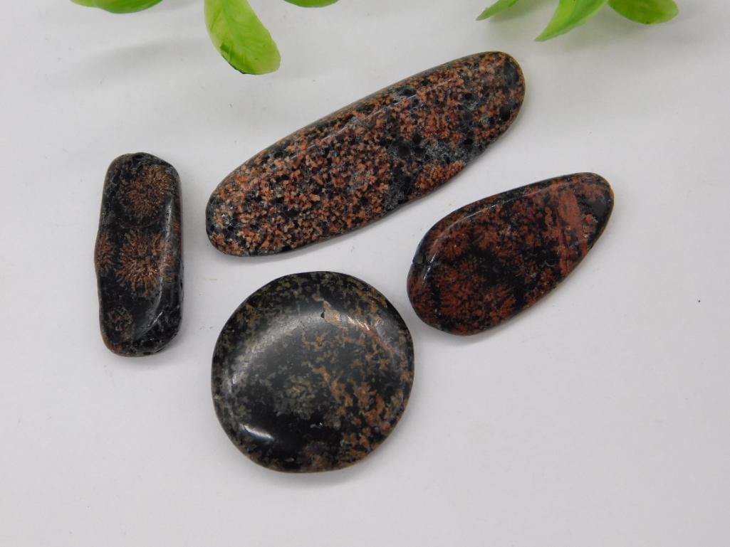 Starburst Jasper ROCK STONE LAPIDARY SPECIMEN: Starburst Jasper ROCK STONE LAPIDARY SPECIMEN