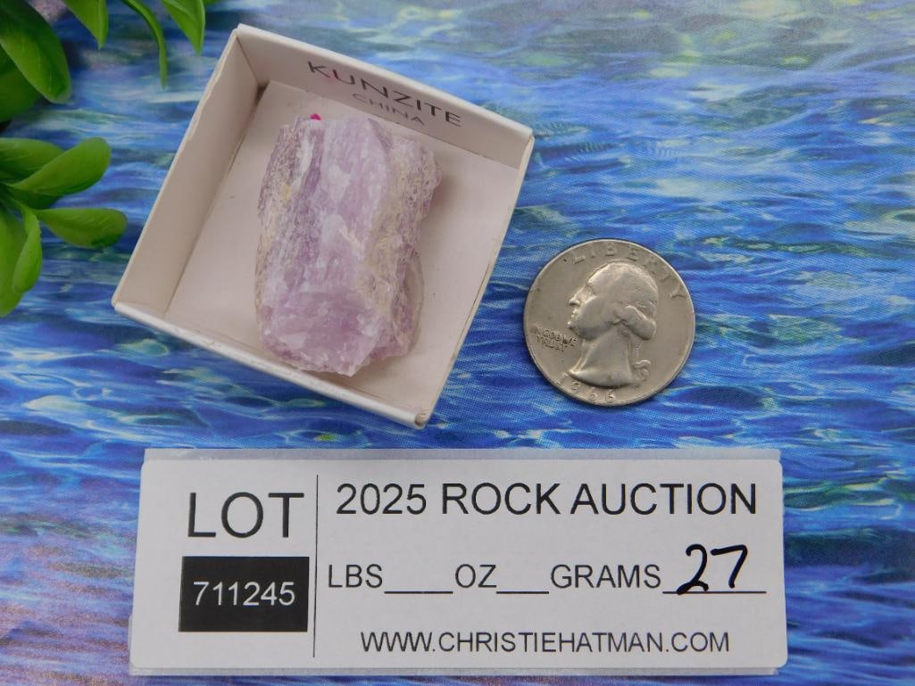 Kunzite Rock Stone Lapidary Specimen - 3