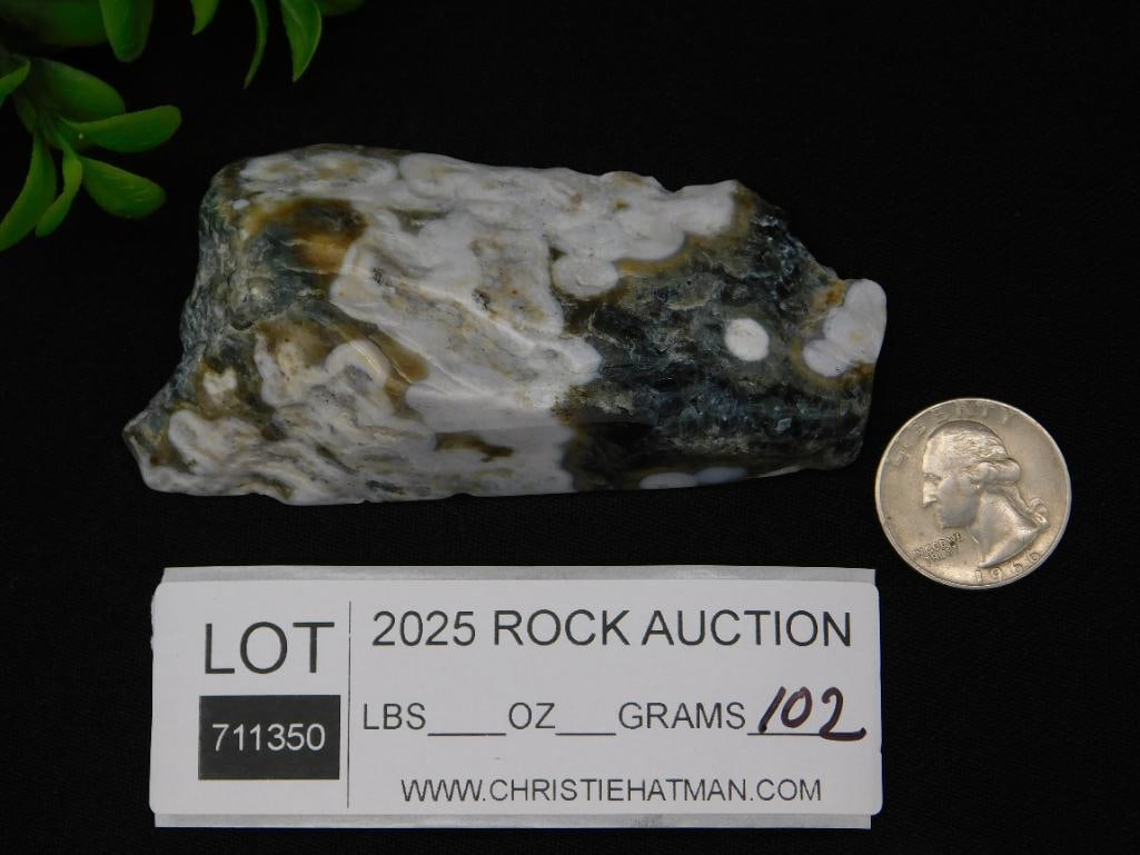 Ocean Jasper Rock Stone Lapidary Specimen - 2