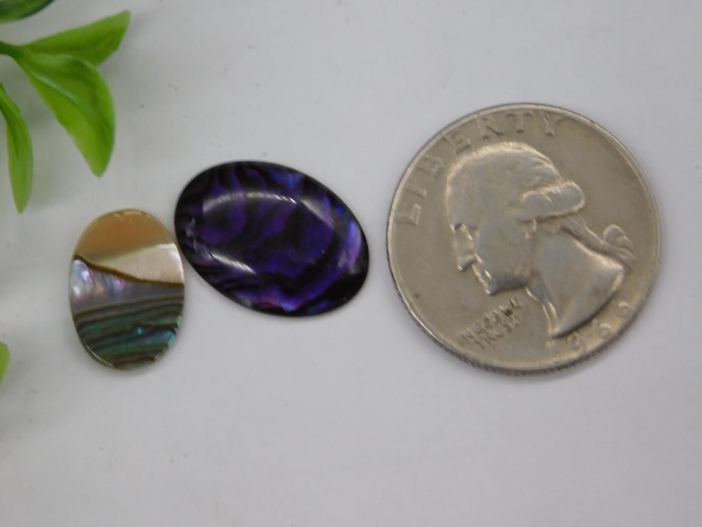 Abalone Cabochon Rock Stone Lapidary Specimen - 2