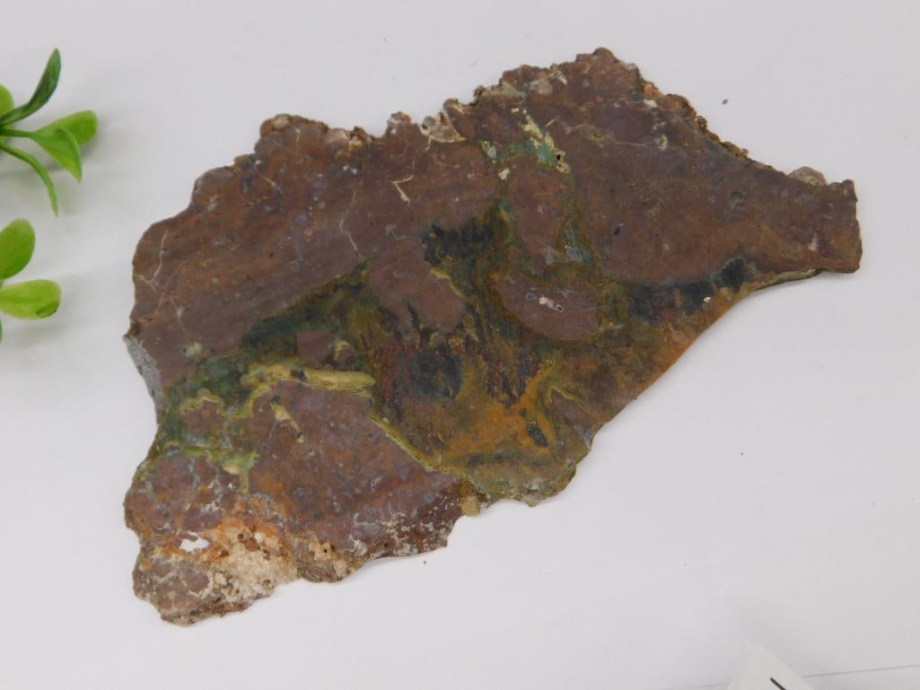 Cut Slab of Multicolored Rock Specimen Rock Stone Lapidary Specimen: Cut Slab of Multicolored Rock Specimen Rock Stone Lapidary Specimen