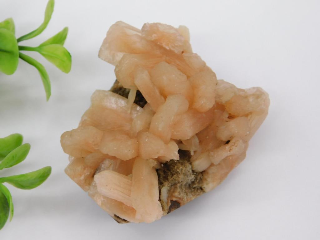 STILLBITE ROCK STONE LAPIDARY SPECIMEN: STILLBITE ROCK STONE LAPIDARY SPECIMEN