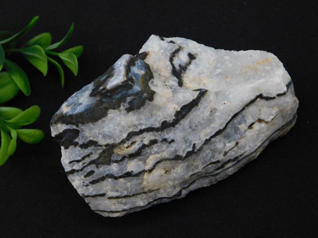 ZEBRA ROCK STONE LAPIDARY SPECIMEN: ZEBRA ROCK STONE LAPIDARY SPECIMEN