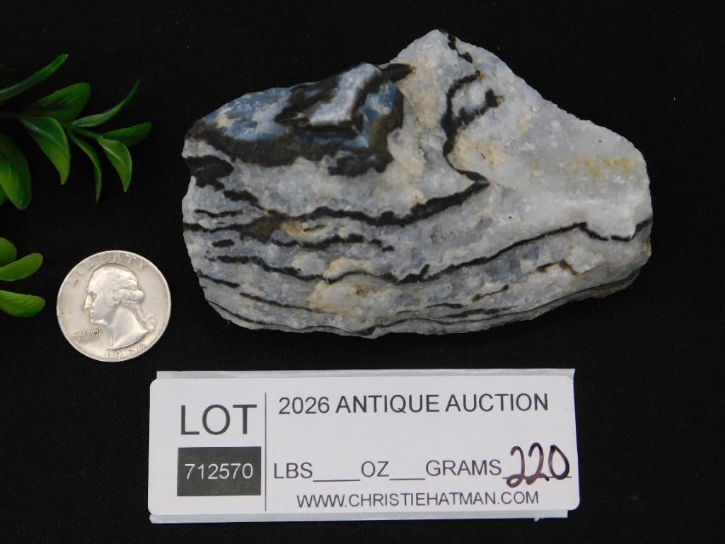 ZEBRA ROCK STONE LAPIDARY SPECIMEN - 2