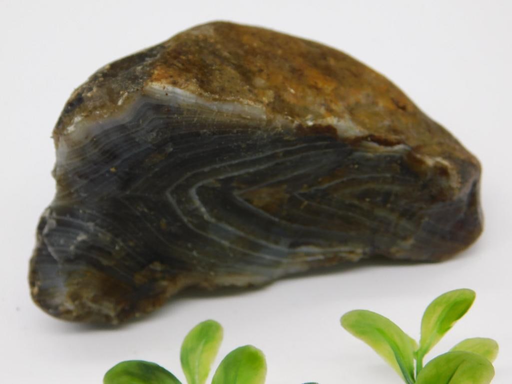 BRAZILIAN AGATE ROCK STONE LAPIDARY SPECIMEN: BRAZILIAN AGATE ROCK STONE LAPIDARY SPECIMEN