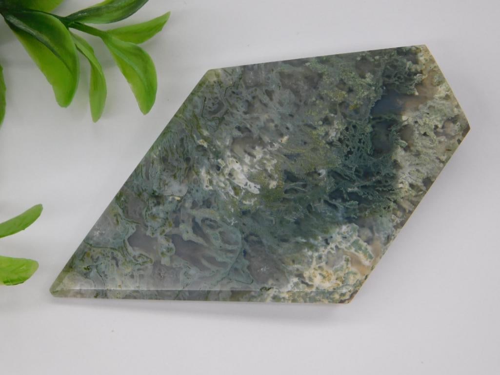 MOSS PLUME AGATE ROCK STONE LAPIDARY SPECIMEN: MOSS PLUME AGATE ROCK STONE LAPIDARY SPECIMEN
