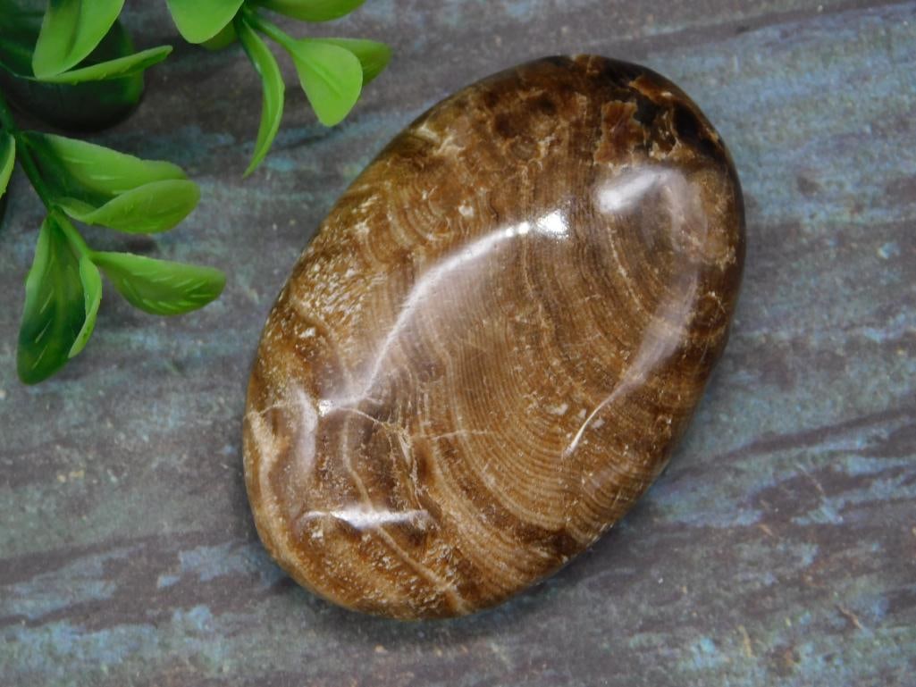 CHOCOLATE CALCITE ROCK STONE LAPIDARY SPECIMEN: CHOCOLATE CALCITE ROCK STONE LAPIDARY SPECIMEN — Part of our Discover Vintage Vault, Crystals and Gems auction at HATMAN'S Auctions! Please see photos for measurements and condition. YES, we have