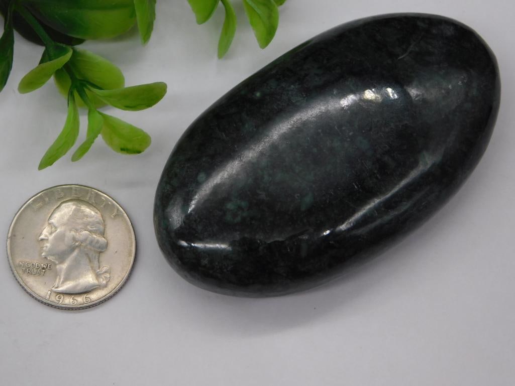 PALM STONE ROCK STONE LAPIDARY SPECIMEN - 2