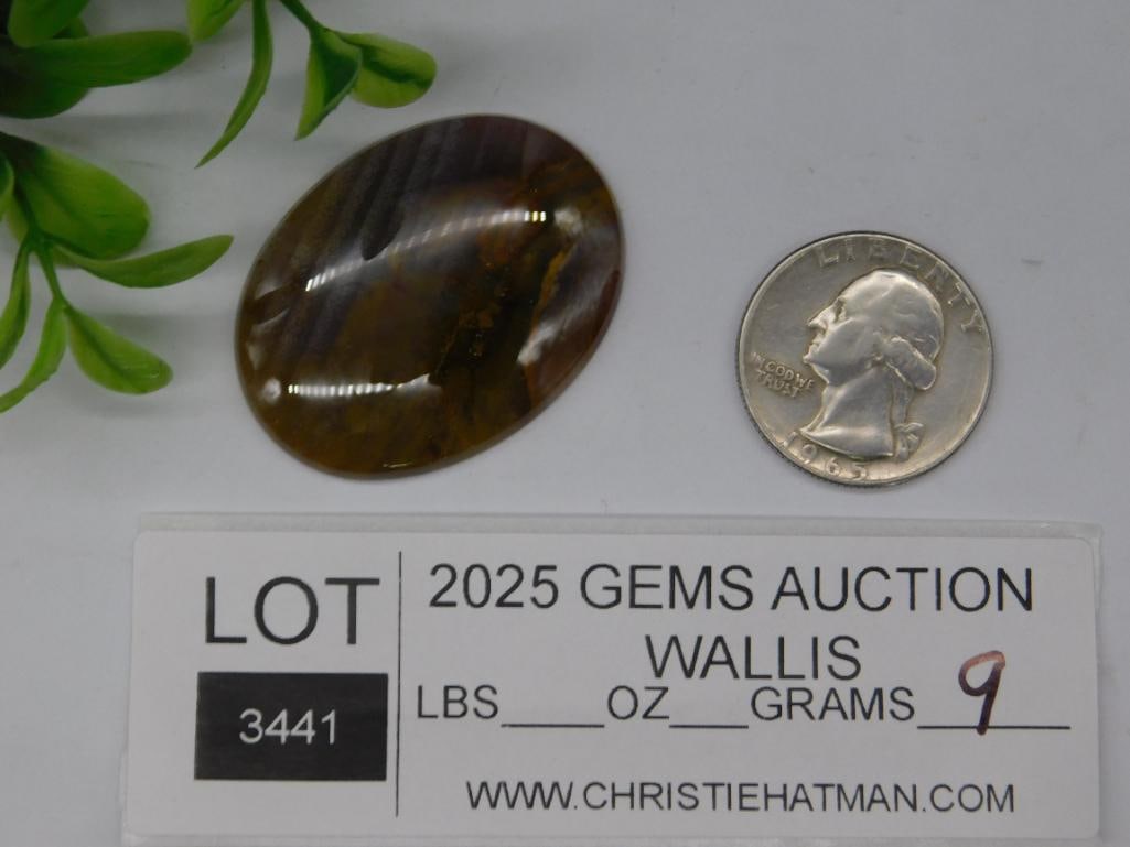 STONE CABOCHON ROCK STONE LAPIDARY SPECIMEN - 2