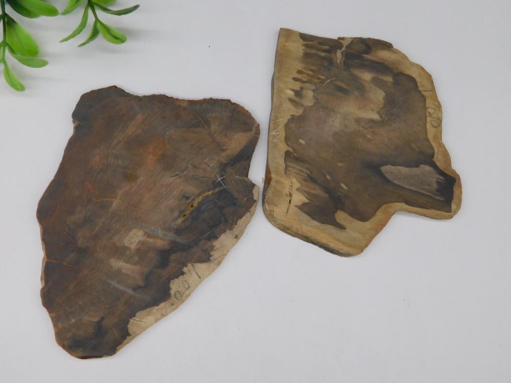 STONE SLABS ROCK STONE LAPIDARY SPECIMEN (1 of 2)