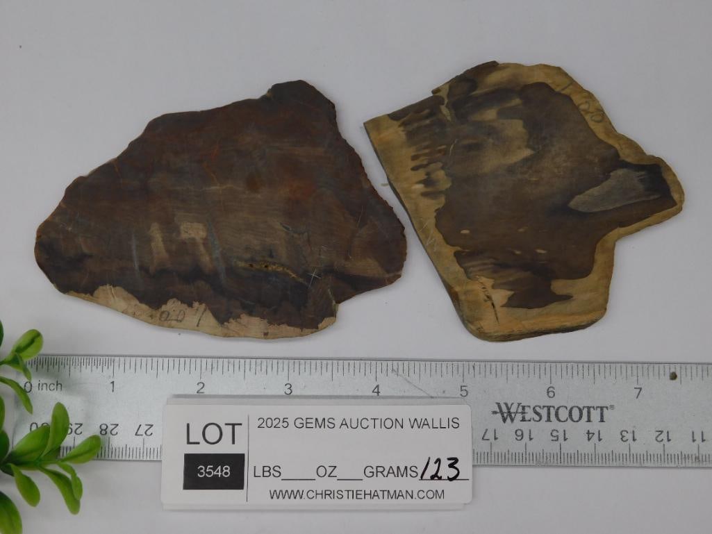 STONE SLABS ROCK STONE LAPIDARY SPECIMEN - 2