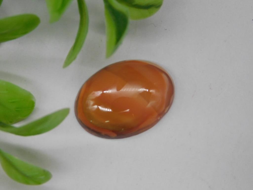 AGATE CABOCHON ROCK STONE LAPIDARY SPECIMEN (1 of 2)