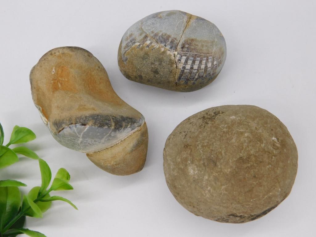 MIXED LOT ROCK STONE LAPIDARY SPECIMEN: MIXED LOT ROCK STONE LAPIDARY SPECIMEN — Part of our Discover Vintage Vault, Crystals and Gems auction at HATMAN'S Auctions! Please see photos for measurements and condition. YES, we have in-house
