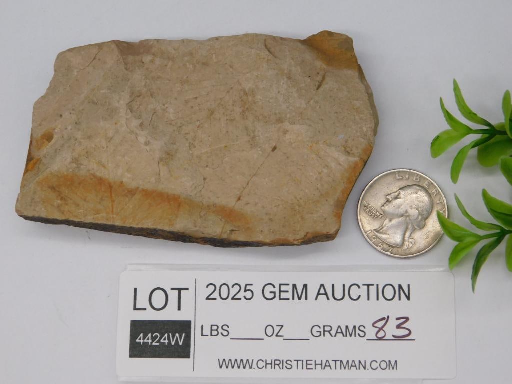 ROCK STONE LAPIDARY SPECIMEN - 3