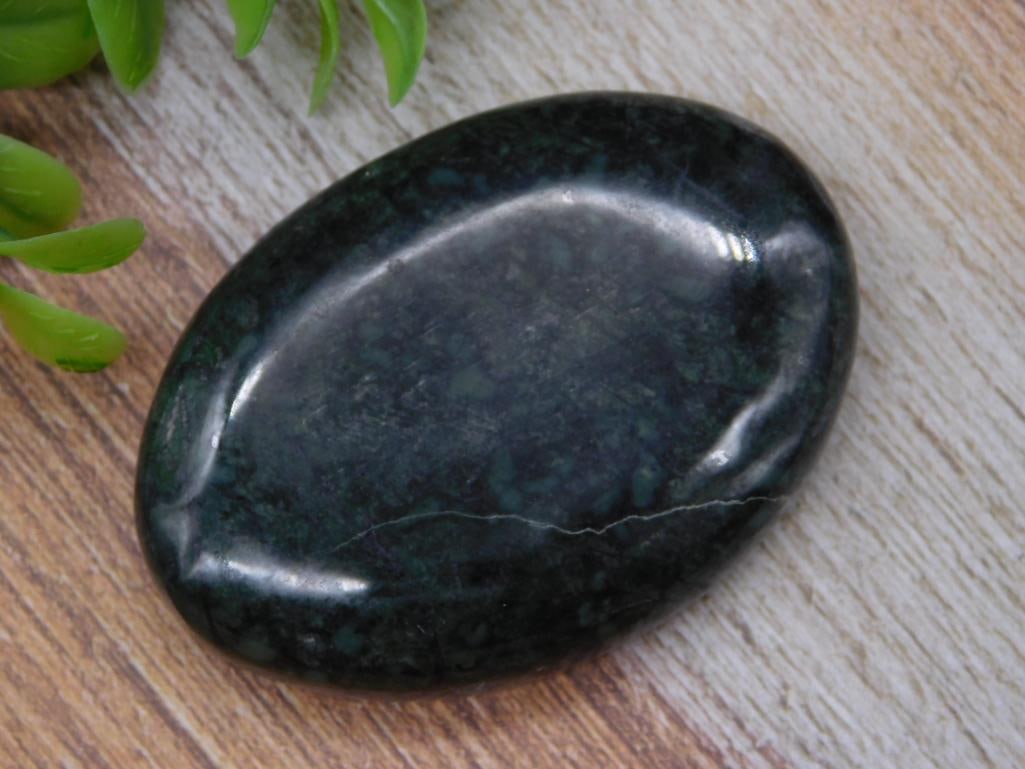 PALM STONE ROCK STONE LAPIDARY SPECIMEN