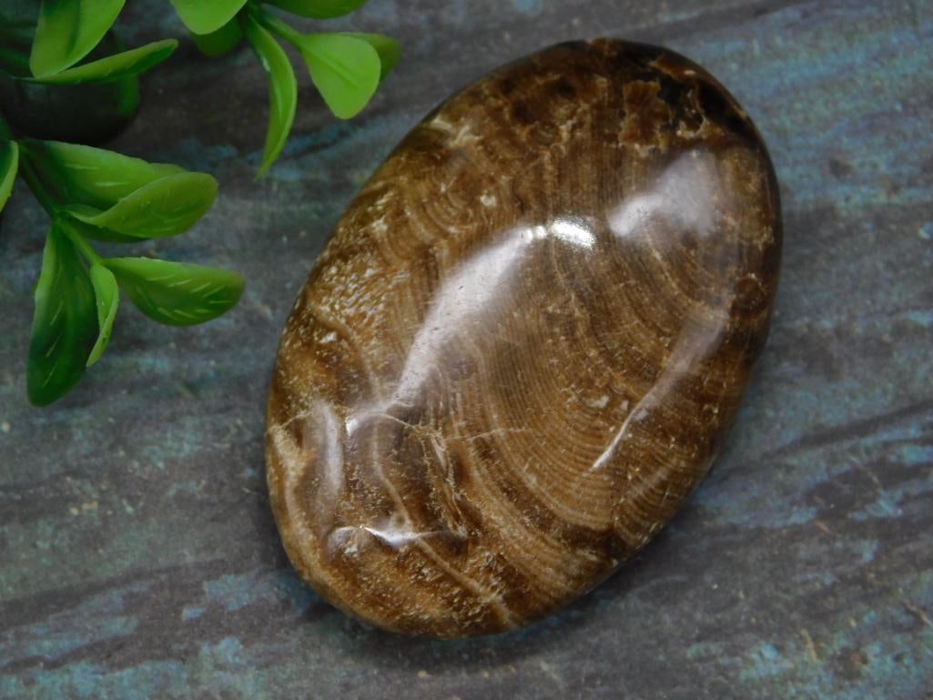 CHOCOLATE CALCITE ROCK STONE LAPIDARY SPECIMEN: CHOCOLATE CALCITE ROCK STONE LAPIDARY SPECIMEN — Part of our Discover Vintage Vault, Crystals and Gems auction at HATMAN'S Auctions! Please see photos for measurements and condition. YES, we have