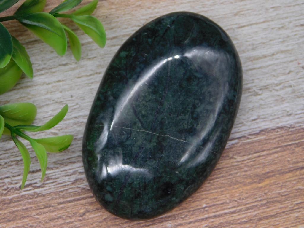 PALM STONE ROCK STONE LAPIDARY SPECIMEN (1 of 2)