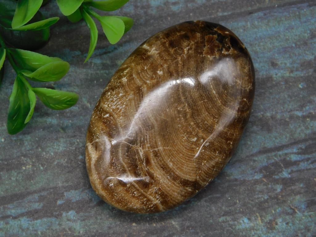 CHOCOLATE CALCITE ROCK STONE LAPIDARY SPECIMEN: CHOCOLATE CALCITE ROCK STONE LAPIDARY SPECIMEN — Part of our Discover Vintage Vault, Crystals and Gems auction at HATMAN'S Auctions! Please see photos for measurements and condition. YES, we have in