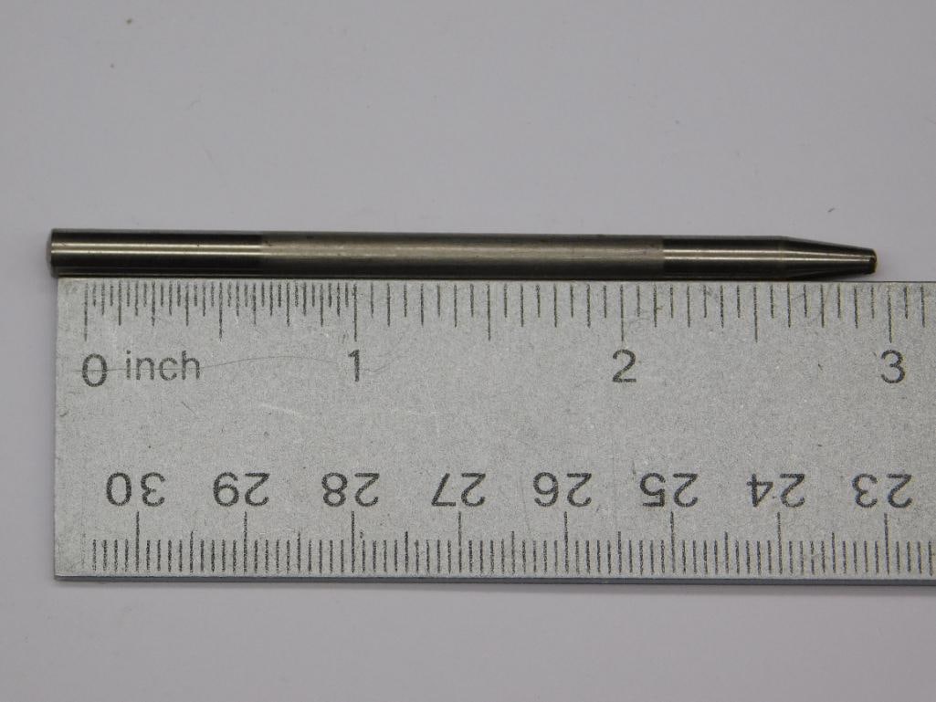 PALM STONE ROCK STONE LAPIDARY SPECIMEN - 2