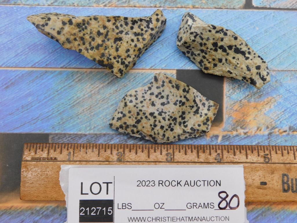 DALMATION JASPER ROCK STONE LAPIDARY SPECIMEN - 2