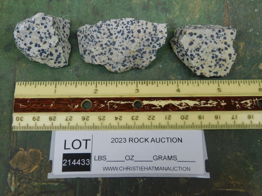 DALMATION JASPER ROCK STONE LAPIDARY SPECIMEN - 2