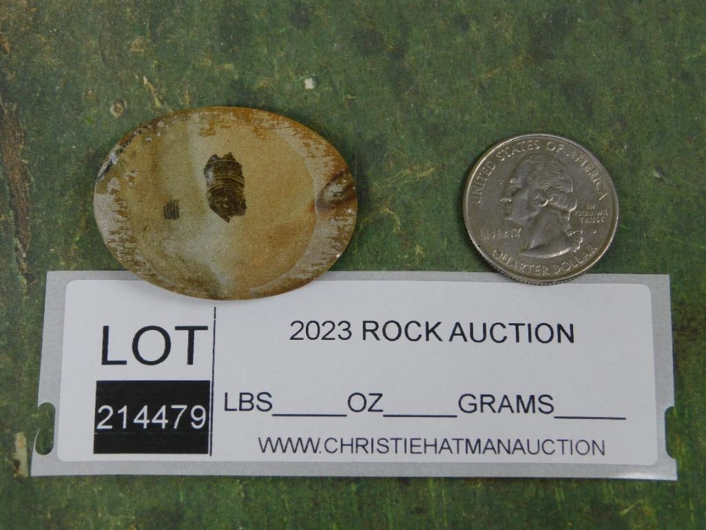 JASPER CABOCHON ROCK STONE LAPIDARY SPECIMEN - 2