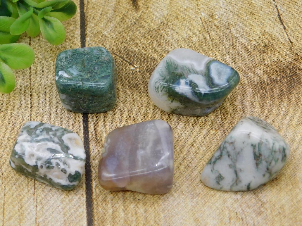 TREE AGATE ROCK STONE LAPIDARY SPECIMEN: TREE AGATE ROCK STONE LAPIDARY SPECIMEN — Part of our Discover Sunken Cove, Crystals and Gems auction at HATMAN'S Auctions! Please see photos for measurements and condition. YES, we have in-house