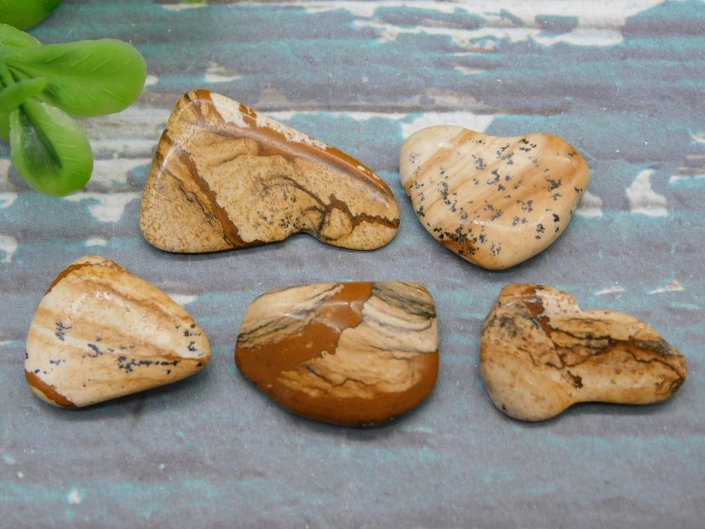PICTURE JASPER ROCK STONE LAPIDARY SPECIMEN: PICTURE JASPER ROCK STONE LAPIDARY SPECIMEN — Part of our Discover Sunken Cove, Crystals and Gems auction at HATMAN'S Auctions! Please see photos for measurements and condition. YES, we have