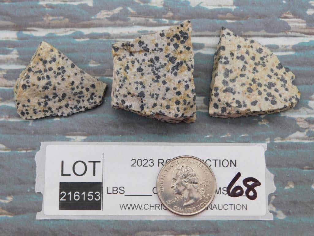 DALMATION JASPER ROCK STONE LAPIDARY SPECIMEN - 2