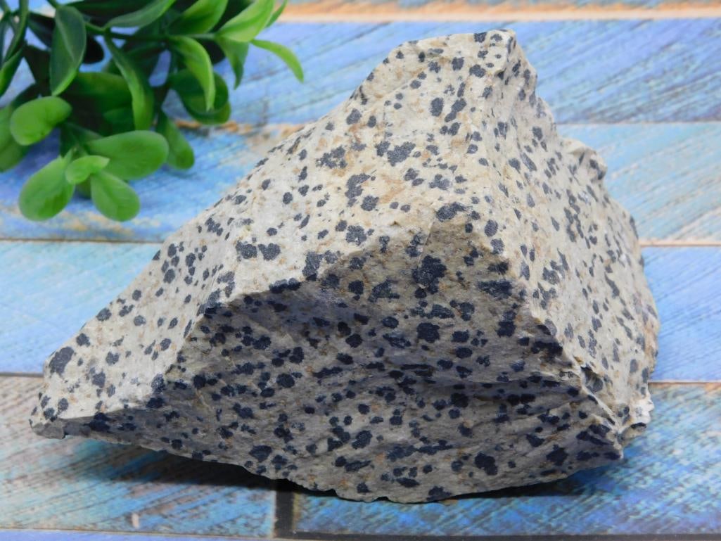 DALMATION JASPER ROCK STONE LAPIDARY SPECIMEN: DALMATION JASPER ROCK STONE LAPIDARY SPECIMEN — Part of our Discover Sunken Cove, Crystals and Gems auction at HATMAN'S Auctions! Please see photos for measurements and condition. YES, we have in-ho