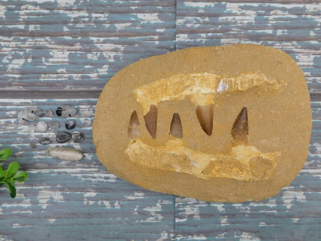 MIXED LOT ROCK STONE LAPIDARY SPECIMEN: MIXED LOT ROCK STONE LAPIDARY SPECIMEN — Part of our Discover Sunken Cove, Crystals and Gems auction at HATMAN'S Auctions! Please see photos for measurements and condition. YES, we have in-house shi