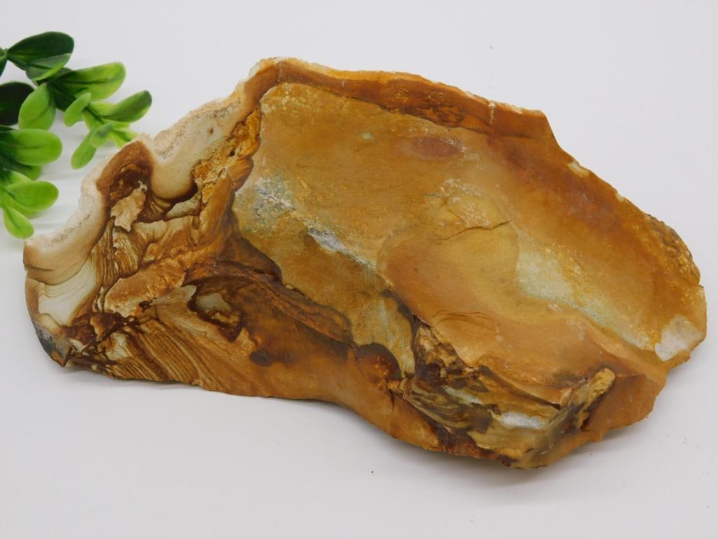 JASPER ROCK STONE LAPIDARY SPECIMEN: JASPER ROCK STONE LAPIDARY SPECIMEN — Part of our Discover Sunken Cove, Crystals and Gems auction at HATMAN'S Auctions! Please see photos for measurements and condition. YES, we have in-house shippi