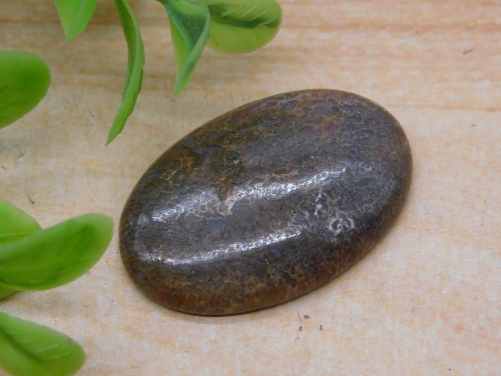 CABOCHON ROCK STONE LAPIDARY SPECIMEN (1 of 2)