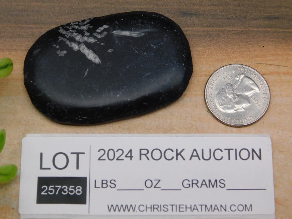 CHRYSANTHEMUM ROCK STONE LAPIDARY SPECIMEN - 2