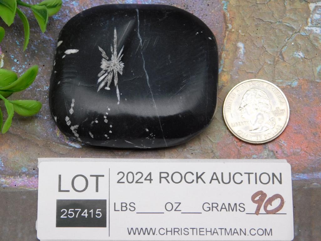 CHRYSANTHEMUM ROCK STONE LAPIDARY SPECIMEN - 2