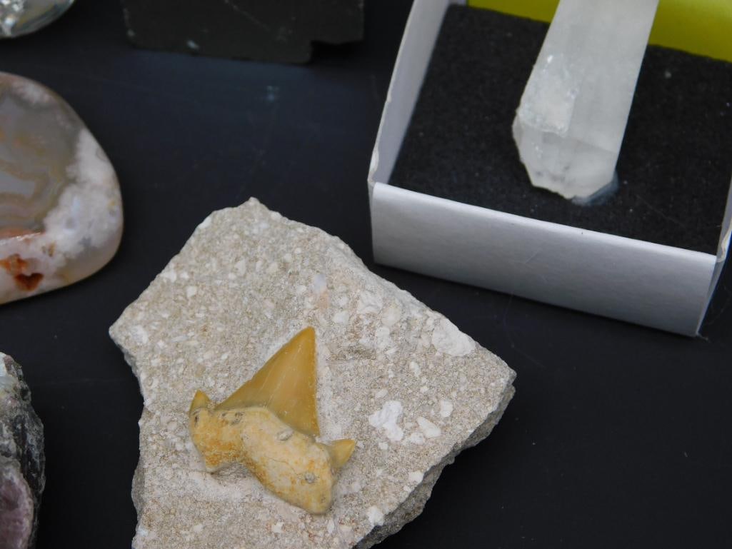 MIXED LOT ROCK STONE LAPIDARY SPECIMEN - 3